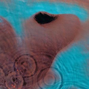 MEDDLE VON PINK FLOYD GEWINNT DIE UMFRAGE
