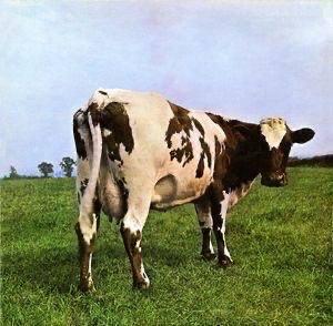 VOTING FÜR BESTES OKTOBER-ALBUM 1971 GEWINNEN PINK FLOYD