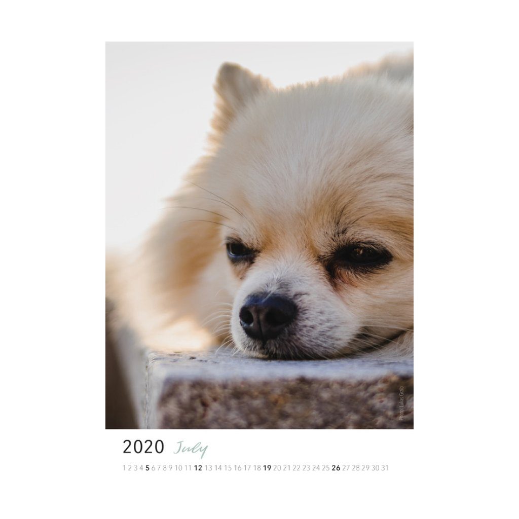 Calle Kalender 2020 Kalender GoodTimes