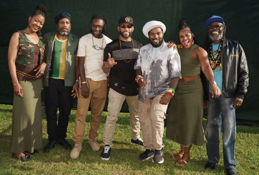 THE WAILERS STARTEN VORVERKAUF FÜR TOUR 2027