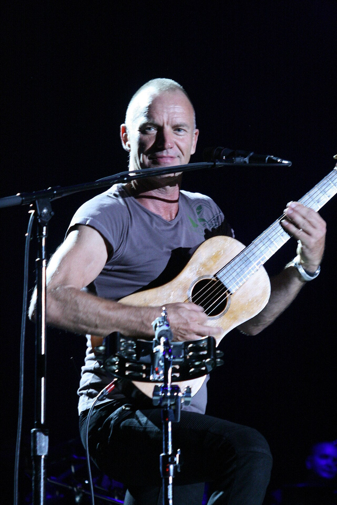 STING WURDE 75